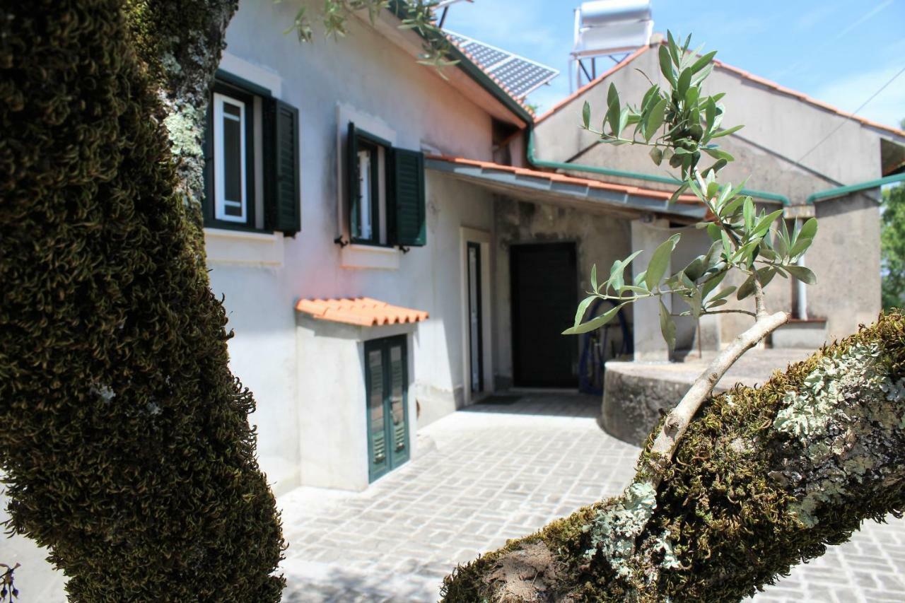 Casa Da Maria Moca Villa ฟาติมา ภายนอก รูปภาพ