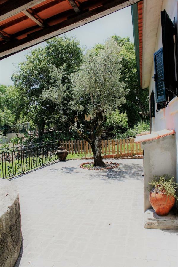 Casa Da Maria Moca Villa ฟาติมา ภายนอก รูปภาพ